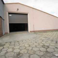 Lokal Siemianowice Śląskie 666.34m