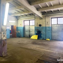 Lokal Białystok 250m2