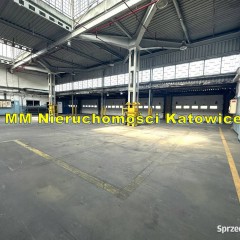Magazyny z rampami do wynajęcia Sosnowiec duży plac biura socjal.