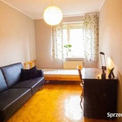 3pok, 65met, Okolice Krzywoustego PEŁEN ROZKŁAD (Wrocław)