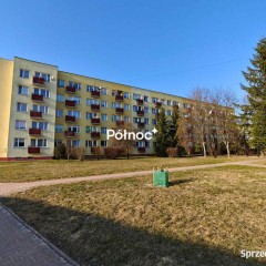 Atrakcyjne M3 do wynajęcia