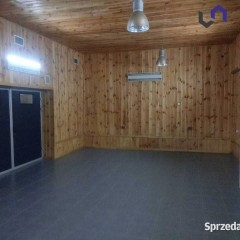 Lokal Katowice 160m2