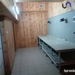 Lokal Katowice 160m2