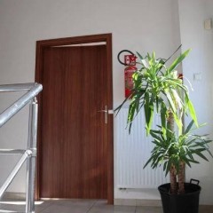 Lokal 900m2 Katowice