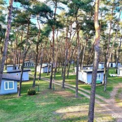 Do wynajęcia domek letniskowy