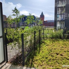 1pok, 34met, Okolice Mosbacha TARAS/WINDA/2022 (Wrocław)