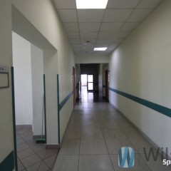 Lokal 302m2 Wrocław
