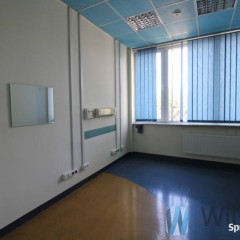 Lokal 302m2 Wrocław