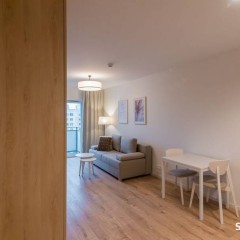 2pok, 37met, Okolice Bulwar Ikara BALKON/2024 (Wrocław)