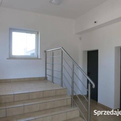 Oferta wynajmu lokalu 682m2 Reguły