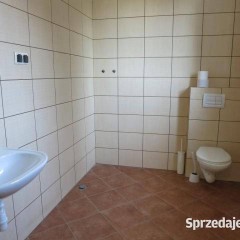 Oferta wynajmu lokalu 682m2 Reguły