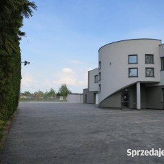Oferta wynajmu lokalu 682m2 Reguły