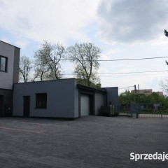 Oferta wynajmu lokalu 682m2 Reguły