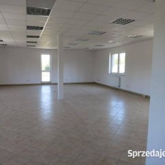 Oferta wynajmu lokalu 682m2 Reguły