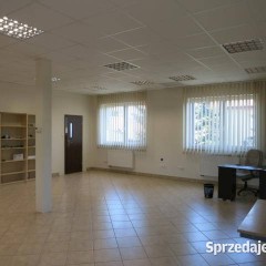 Oferta wynajmu lokalu 682m2 Reguły