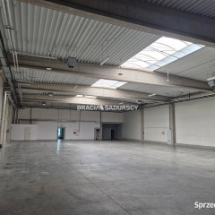 Oferta wynajmu lokalu 765m2 Kraków Półłanki