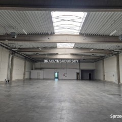 Oferta wynajmu lokalu 765m2 Kraków Półłanki