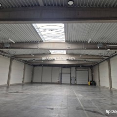 Oferta wynajmu lokalu 765m2 Kraków Półłanki