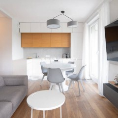Oferta wynajmu mieszkania Kraków 55m2 3 pokojowe