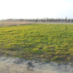 Wydzierżawię działkę. 687 m2