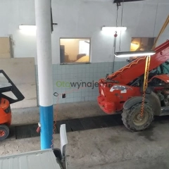 Wynajem wózków widłowych, wózek widłowy, wózki widłowe