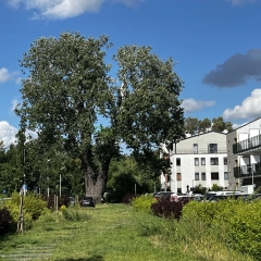 Warszawa STUDIO- KAWALERKA PREMIUM 2+1