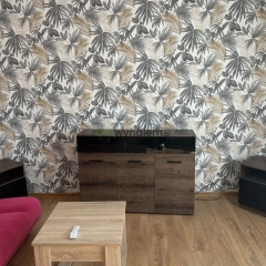 Wynajem Mieszkanie 2-pokojowe w Śródmieściu Zabrza 65m2 2 piętro
