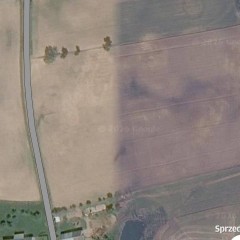 Oddam w dzierżawę 3,5ha