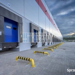 Hala klasy "A", przy A1/A4 - Bez Prowizji