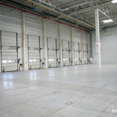 Hala dostępna od zaraz, różne moduły-bez prowizji