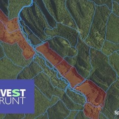 Dzierżawa gruntu rolnego [72,51 ha]