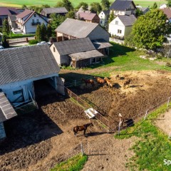 Wydzierżawię gospodarstwo rolne stadninę Lgota Wolbromska