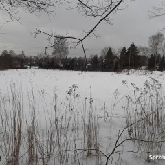 dzierżawa