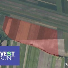 Dzierżawa gruntu rolnego [49,44 ha]