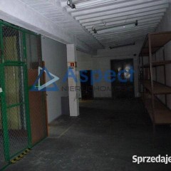 Oferta wynajmu   Szczecin