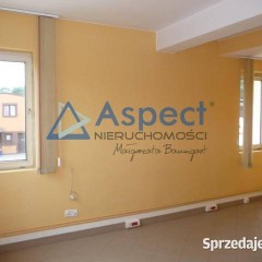 Oferta wynajmu   Szczecin