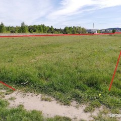 Wynajmę działkę w Radlinie koło Kielc 1,20ha