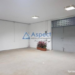 Lokal 100m2 Szczecin