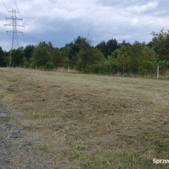 Działka Imielin Zalew Dziećkowice Dzierżawa